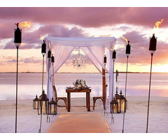 Get the Best Key West Wedding Coordinator