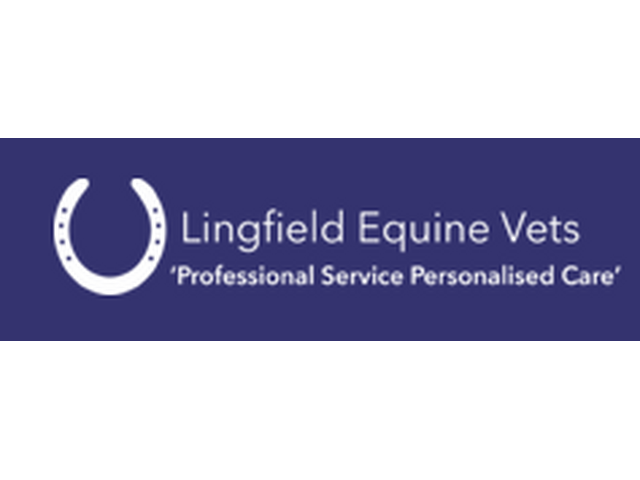 Horse Surgeon Surrey