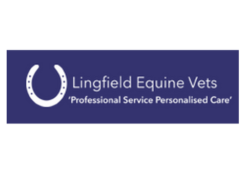 Horse Surgeon Surrey