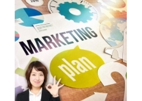 World Class SEO Services That Drive Results