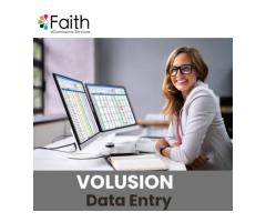 Volusion Data Entry for better research and execution