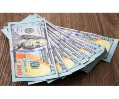 Purchase Duplicate 100 USD Online