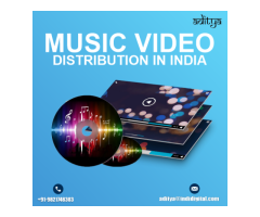 Best price for music video distribution in India