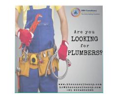 Plumber recruitment services