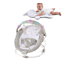 Premium Baby Bjorn Bouncer in UAE