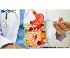 Understanding Digestive Disorders Symptoms and Pain