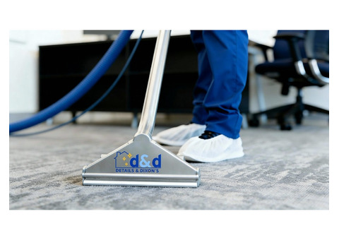 Top Carpet Cleaning and Window Cleaning Services