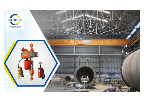SM Cranes Hoist Crane Pune