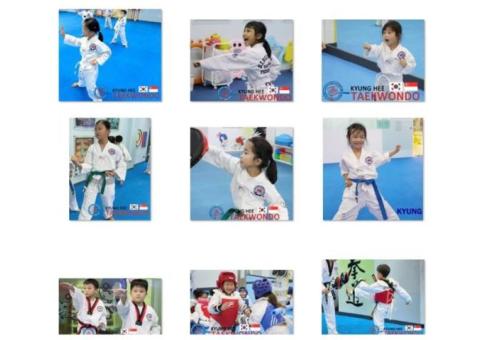TKD a Korean traditional martial arts, and also a combat sport