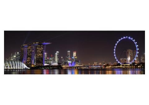 Silent Party Headphones in Singapore