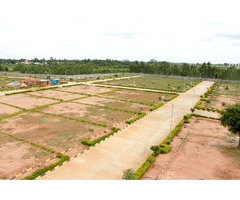 Are you looking for the best real estate consultant in Meerut?