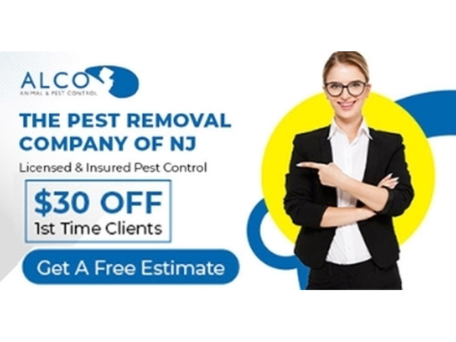 Professional Mice Control in NJ Services