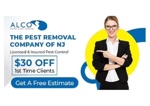 Professional Mice Control in NJ Services