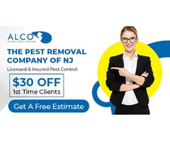 Professional Mice Control in NJ Services