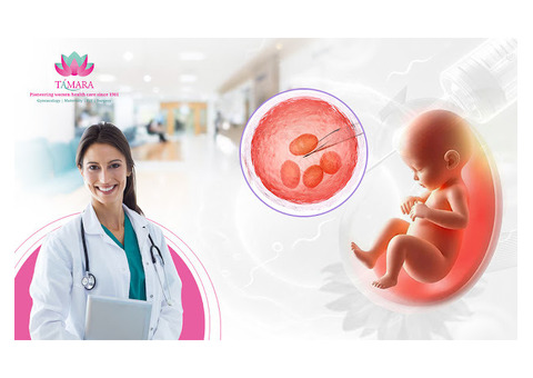 Best IVF Centre in Bangalore for Trusted Fertility Treatment