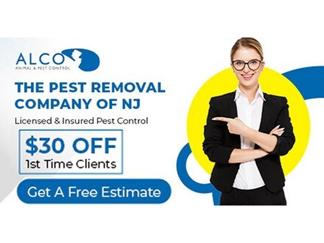 Expert Flying Squirrel Removal in Bergen County, NJ