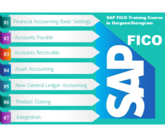 SAP FICO Certification Course in Delhi, Geeta Colony, Navratri Offer