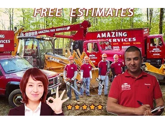 Trusted Tree Removal Company NJ Services