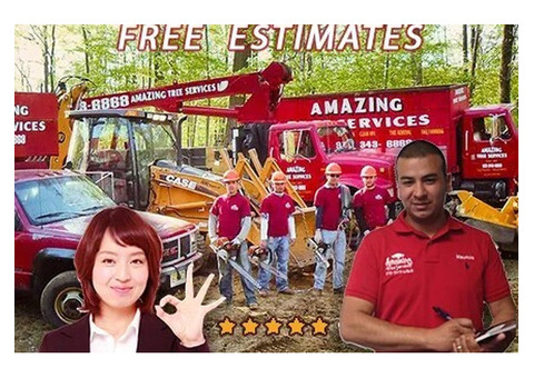 Trusted Tree Removal Company NJ Services