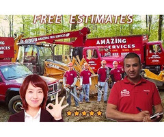 Trusted Tree Removal Company NJ Services