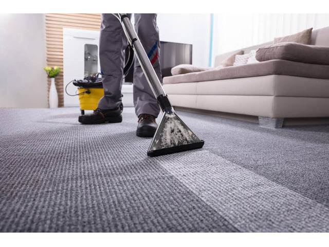 Experience the Difference with Professional Carpet Steam Cleaning