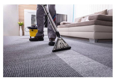 Experience the Difference with Professional Carpet Steam Cleaning
