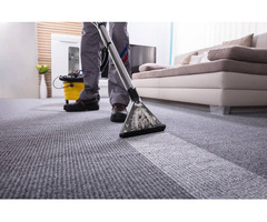 Experience the Difference with Professional Carpet Steam Cleaning