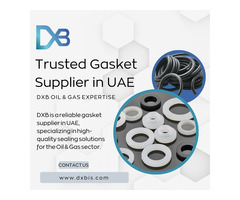Trusted Gasket Supplier in UAE for Oil & Gas Industry | DXB