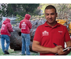 Reliable Commercial Tree Services in NJ