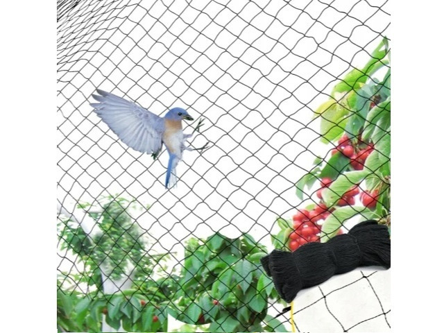Bird Net Services in Kolkata – AK Safety Net