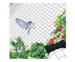 Bird Net Services in Kolkata – AK Safety Net