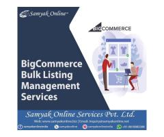 BigCommerce Bulk Listing Management Services