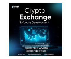 Professional Crypto Exchange Software Development Providers