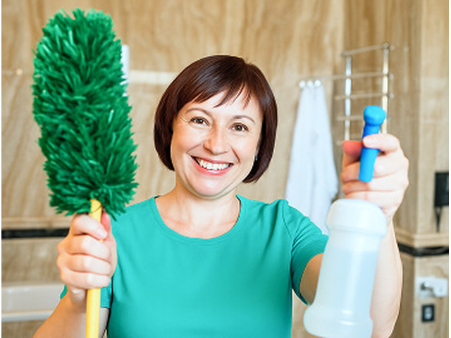 CleanMol - Reliable Cleaning Services