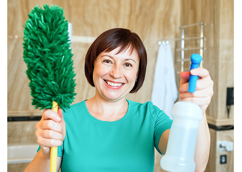 CleanMol - Reliable Cleaning Services