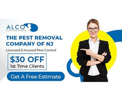 Effective Gray Squirrel Control in NJ