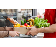 WHOLESALE AGRO Bulk MARKET: Available for Immediate Supply!