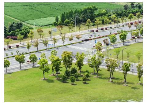 Custom Landscaping Services in Gurgaon by Professionals