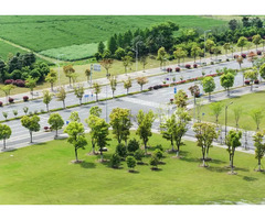 Custom Landscaping Services in Gurgaon by Professionals