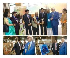 Spectacular Painting Exhibition Ushers in a Wave of Artistry at GLFN