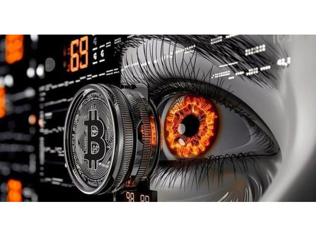 📘 Flash Bitcoin Sender Tech Guide — Blockchain Explained