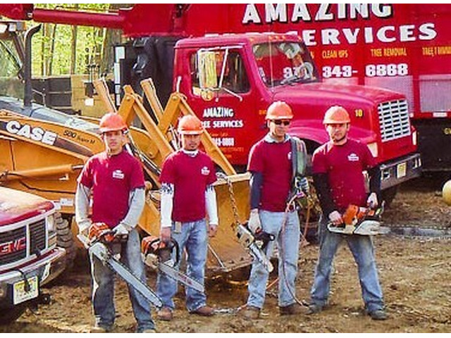 Tree Service in Little Ferry, NJ – Amazing Tree Services