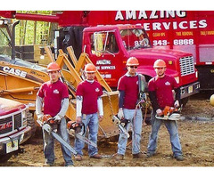 Tree Service in Little Ferry, NJ – Amazing Tree Services