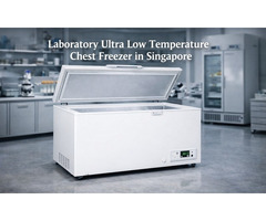 Chest Freezer Singapore with Premium Quality and Long Durability