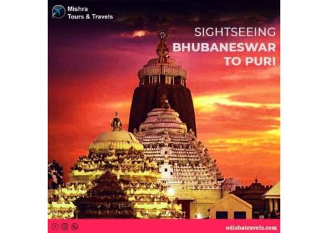 Professional travel services Odisha
