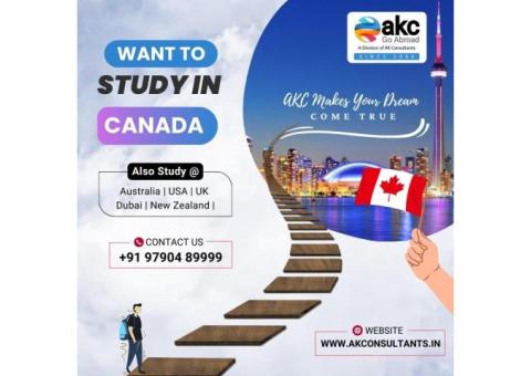Study Abroad Consultants in Chennai