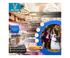 Cool Rabbit: Especialistas en Fotografía para Comuniones en Andorra