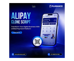 WhiteLabel Alipay Clone Software for High-Growth Fintech Firms