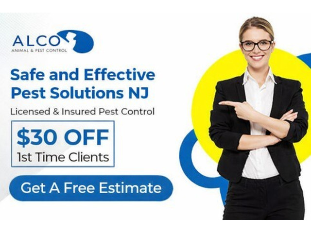 Safe and Effective Pest Solutions NJ – ALCO Animal & Pest Control