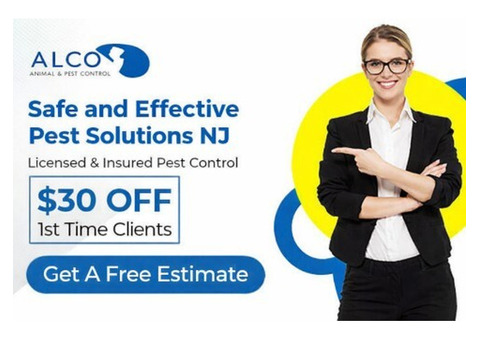 Safe and Effective Pest Solutions NJ – ALCO Animal & Pest Control